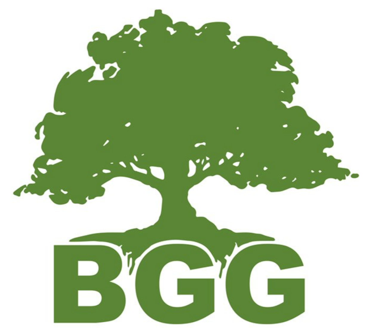 Logo of Big Green Group ltd