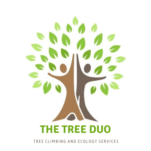 Logo of The Tree Duo