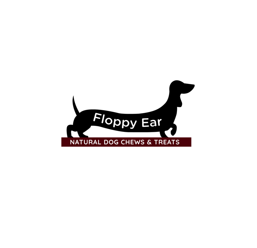 Logo of Floppy Ear Ltd