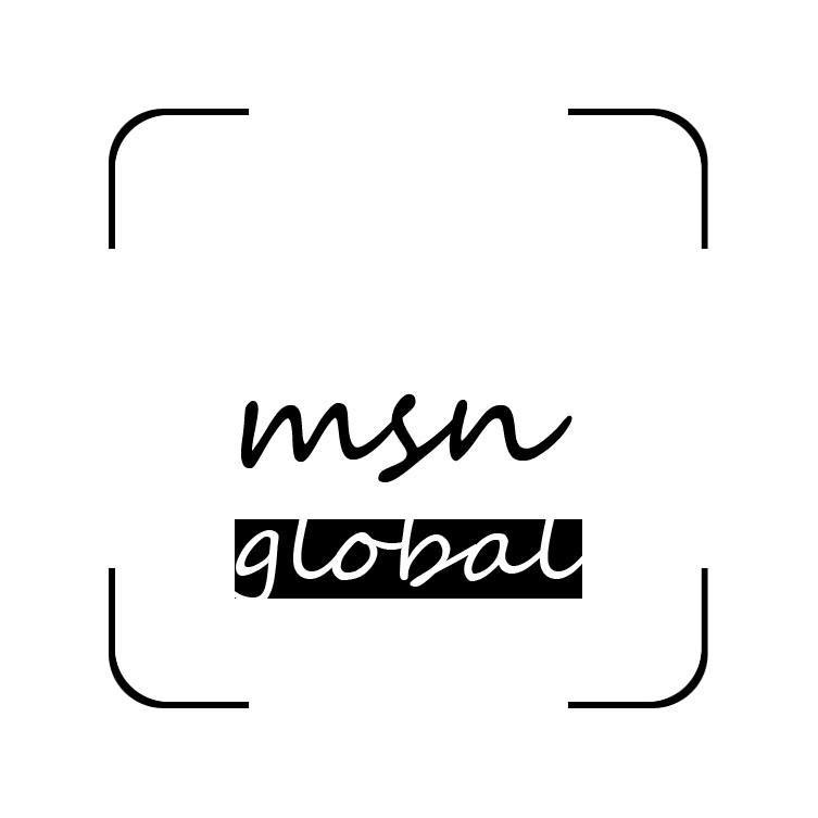 Logo of MSN Global IT Solutions