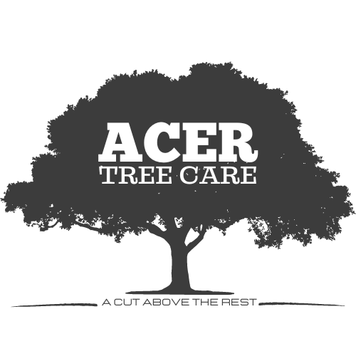 Logo of Acer Tree Care