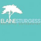 Logo of Elaine Sturgess Holistic Osteopathy