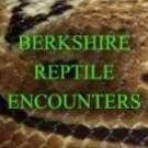 Logo of Berkshire Reptile Encounters Childrens Parties In Reading, Berkshire