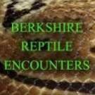 Logo of Berkshire Reptile Encounters Childrens Parties In Maidenhead, Berkshire