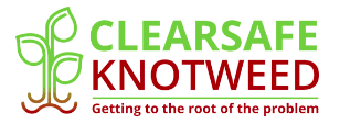 Logo of Clearsafe Knotweed Environmental Consultants In Swansea, Wales