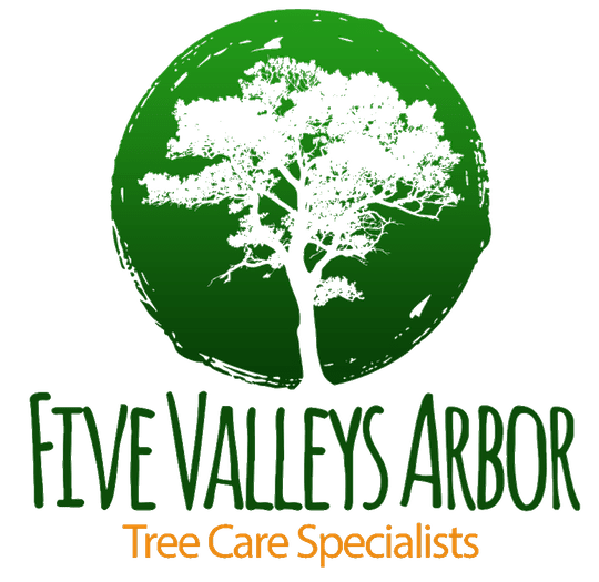Logo of Five Valleys Arbor Tree Surgeon In Stroud, Gloucestershire