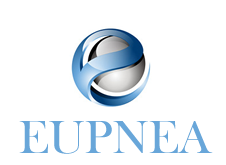 Logo of Eupnea Management Consulting