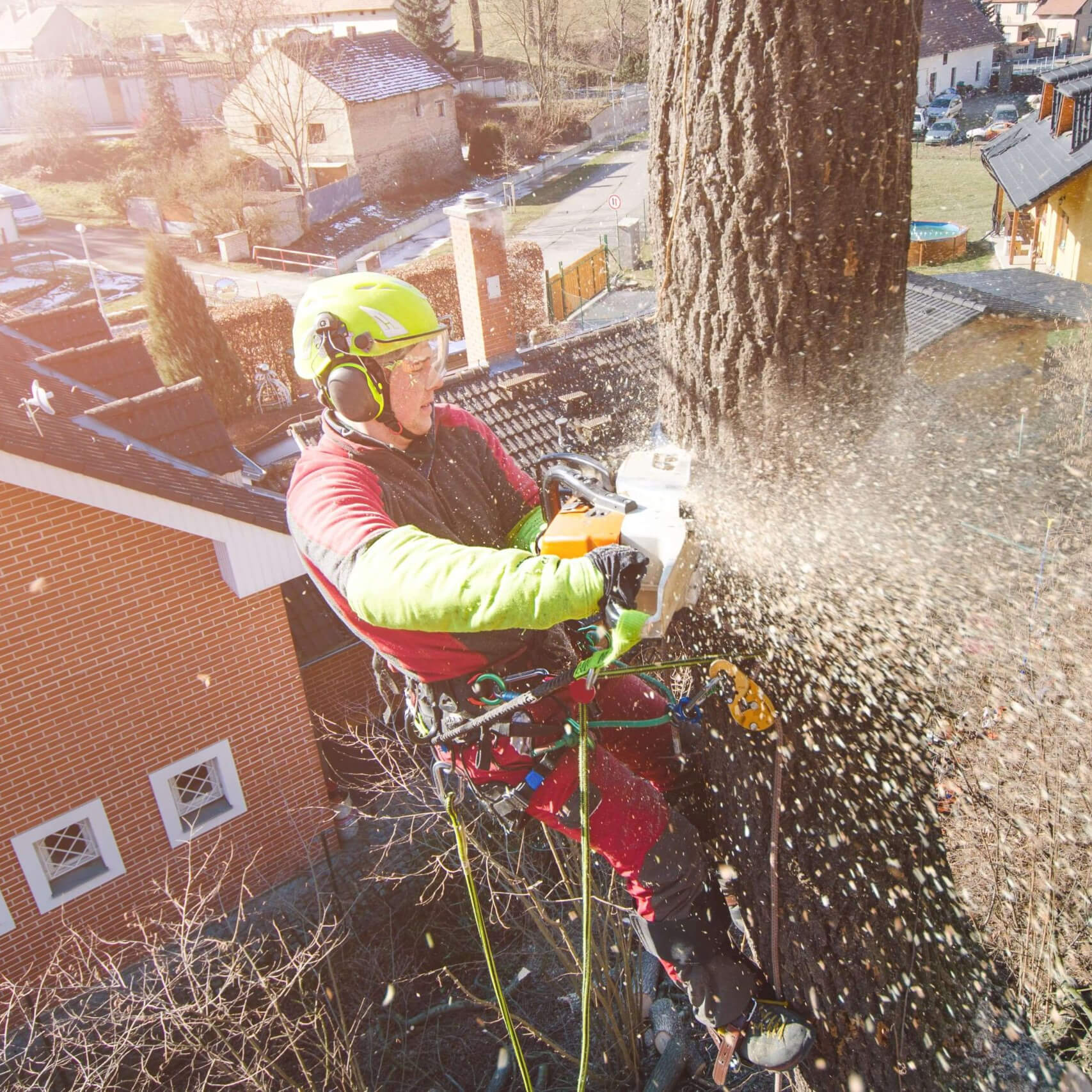 Logo of Coventry Tree Services