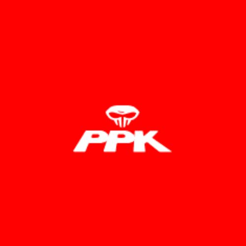 Logo of PPK - The Paintball Park