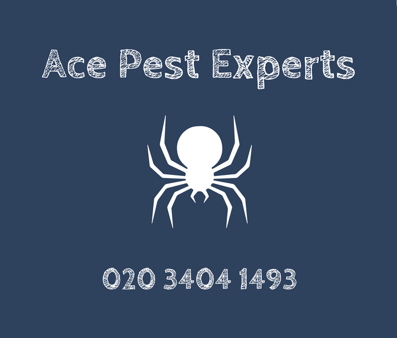 Logo of Ace Pest Experts Pest And Vermin Control In Kingston Upon Thames, London