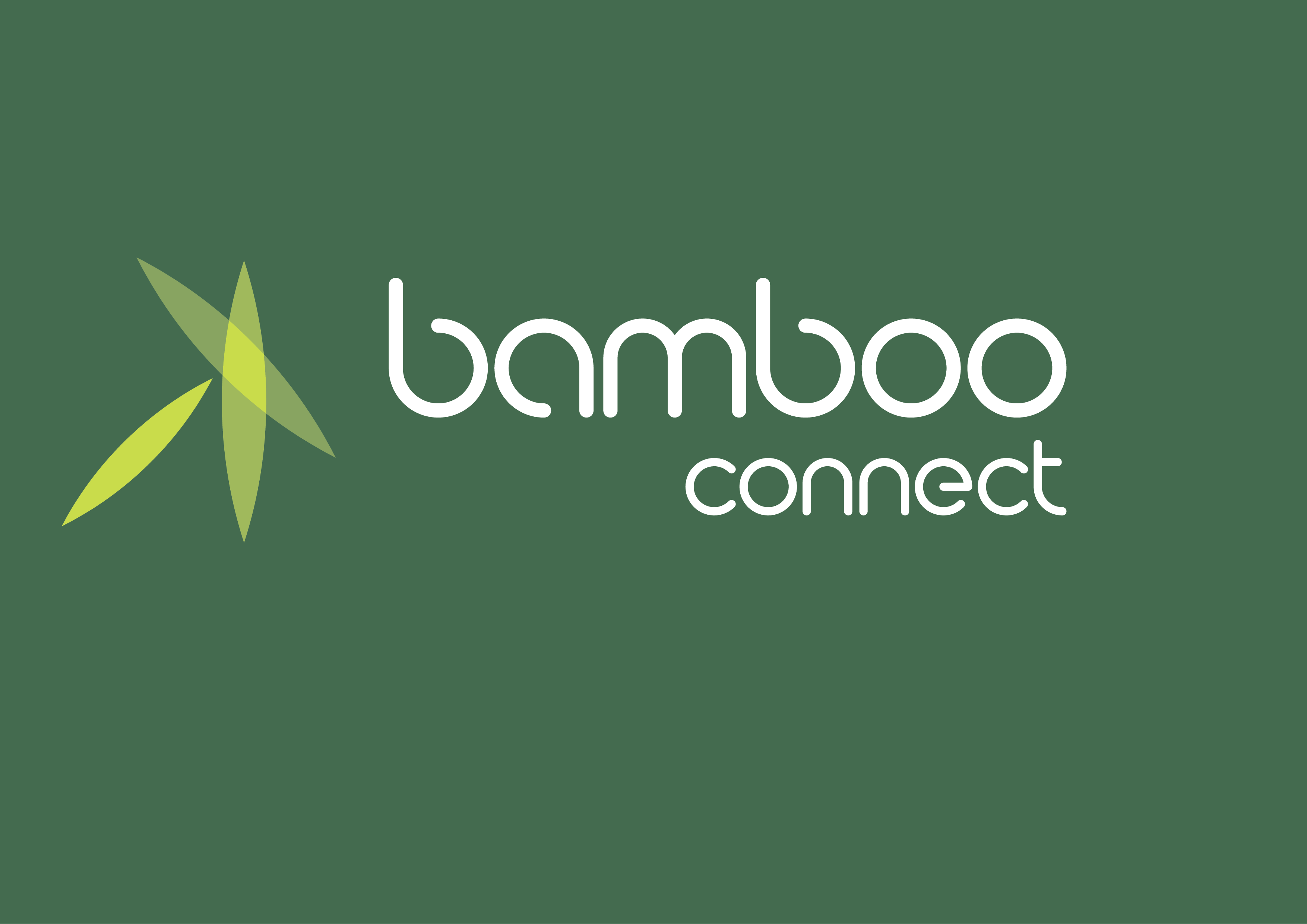 Logo of Bamboo Connect