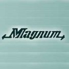 Logo of Magnum Northern Ltd Freight Forwarders In Beverley, North Humberside