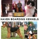 Logo of Haven Kennels & Cattery Boarding Kennels And Catteries In Ashford, Kent