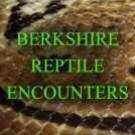Logo of Berkshire Reptile Encounters Childrens Parties In Bracknell, Berkshire