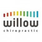 Logo of WIllow Chiropractic - Nailsea