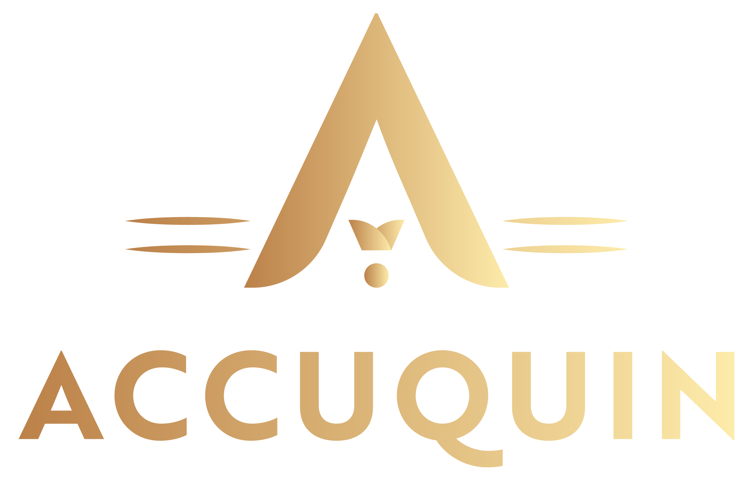 Logo of Accuquin Ltd