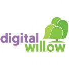 Logo of Digital Willow